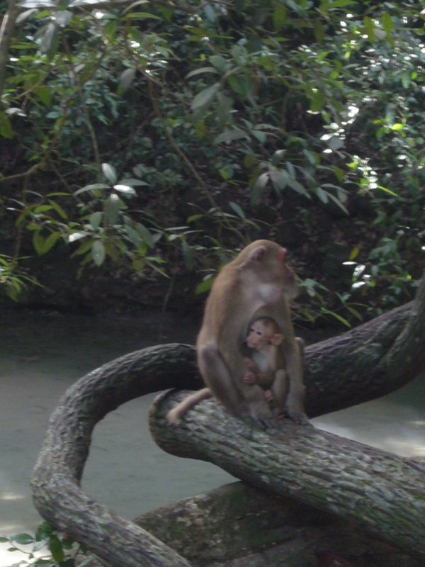 Travel - Thailand - Kanchanaburi - National Park